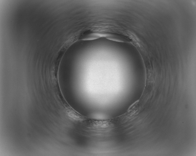 X0000071950377200607071216