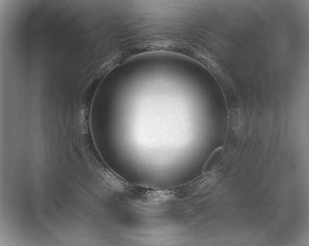 X0000071950378200607071216