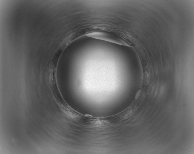 X0000071950379200607071216