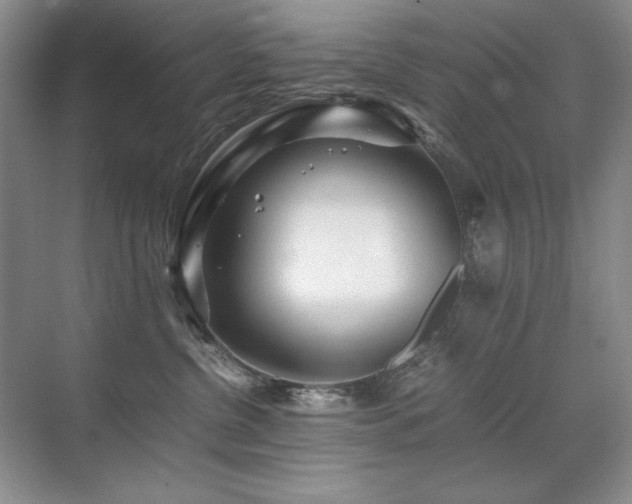 X0000071950380200607071216