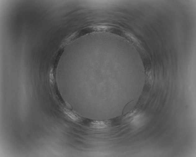 X0000071950381200607071216