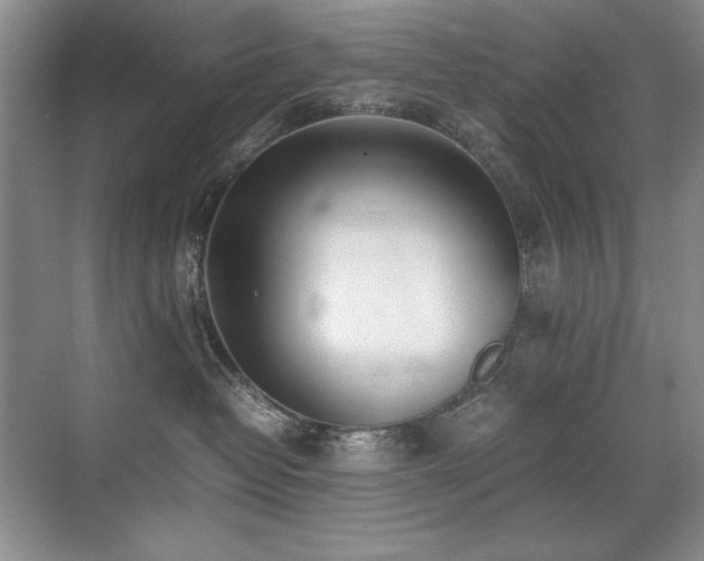 X0000071950382200607071216