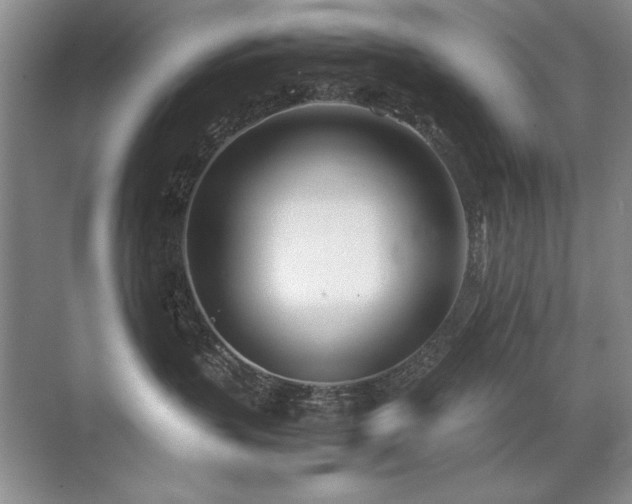 X0000071950383200607071216