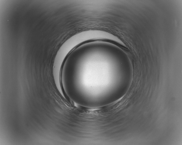 X0000071950384200607071216