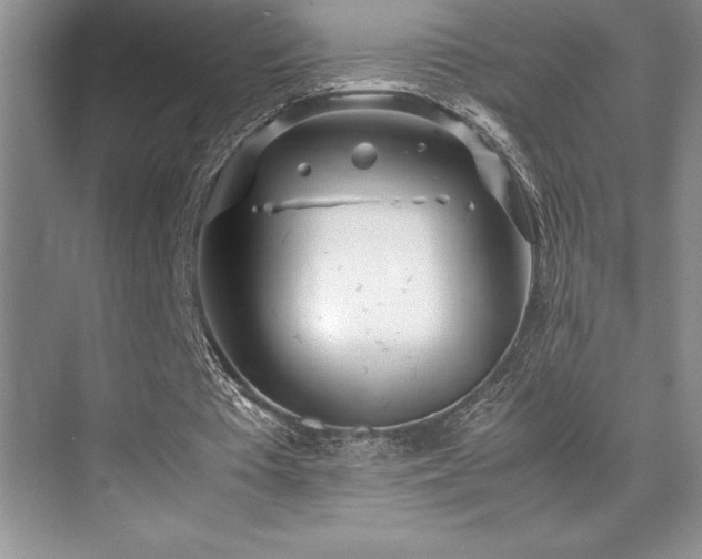 X0000071950385200607071215