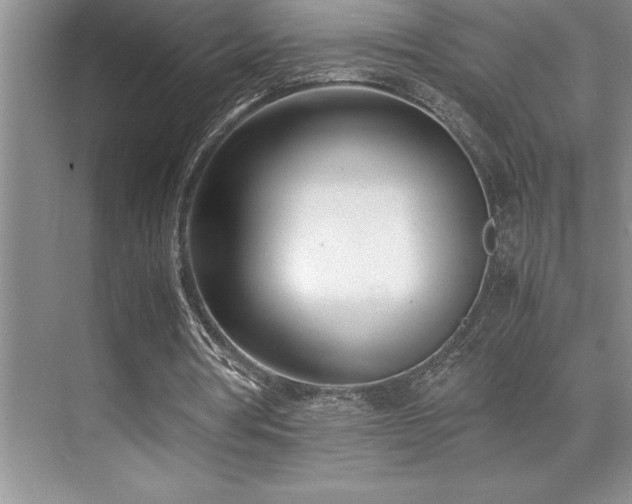 X0000071950386200607071215