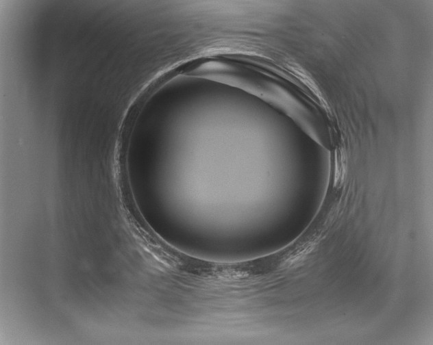 X0000071950387200607071215