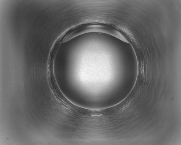 X0000071950388200607071215