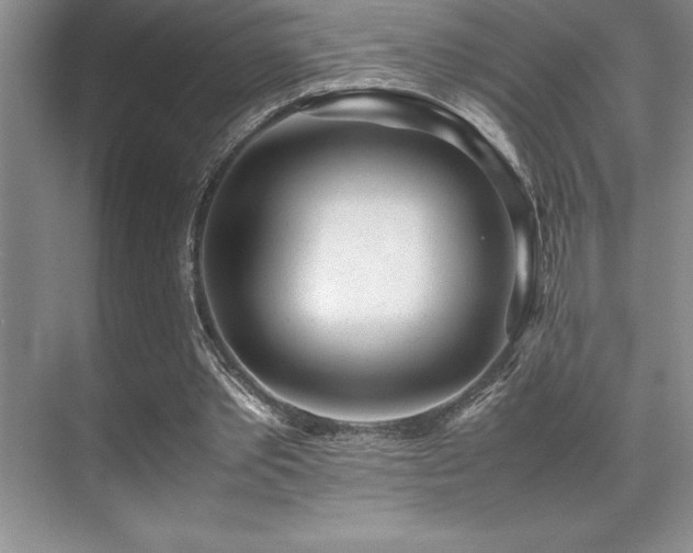 X0000071950389200607071215