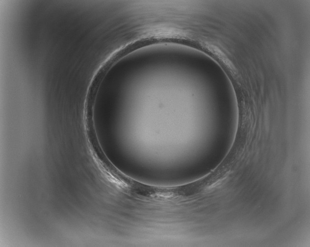 X0000071950391200607071215