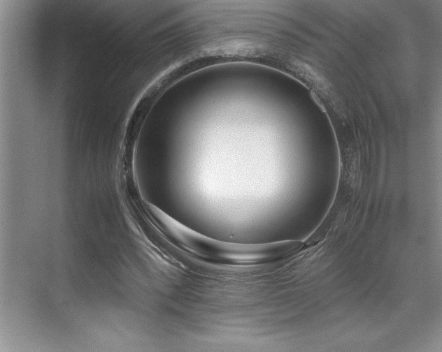 X0000071950392200607071215