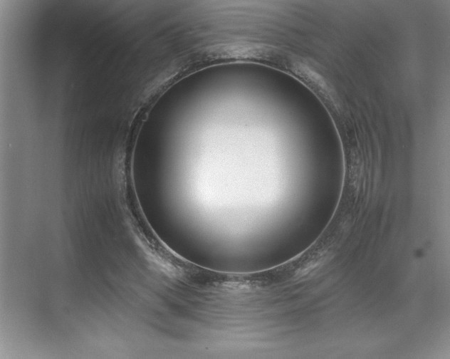 X0000071950394200607071215