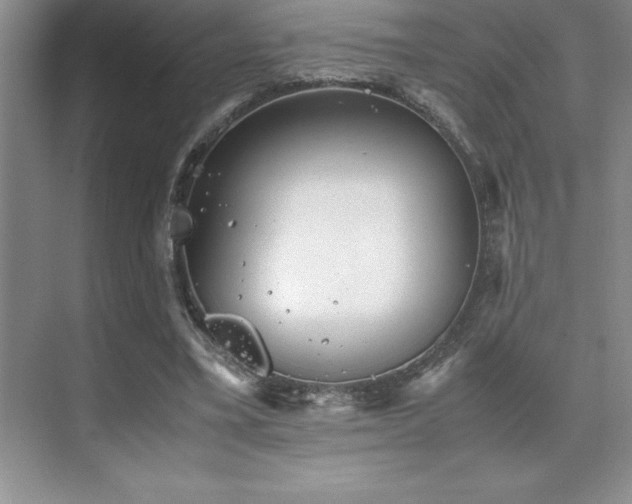 X0000071950395200607071215