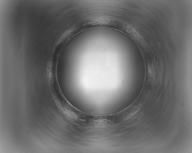 X0000071950396200607071215