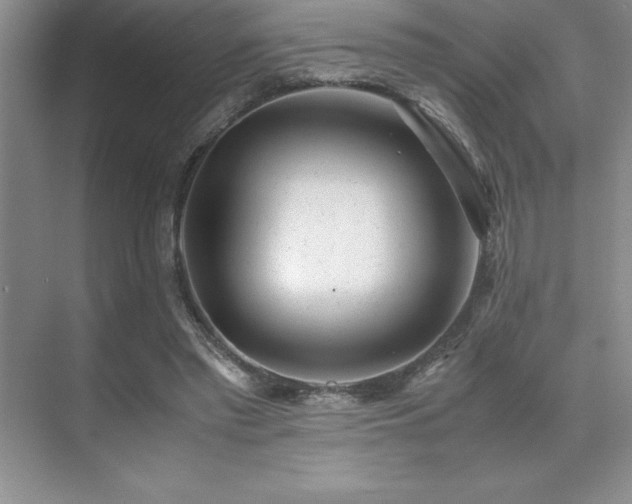 X0000071950397200607071215