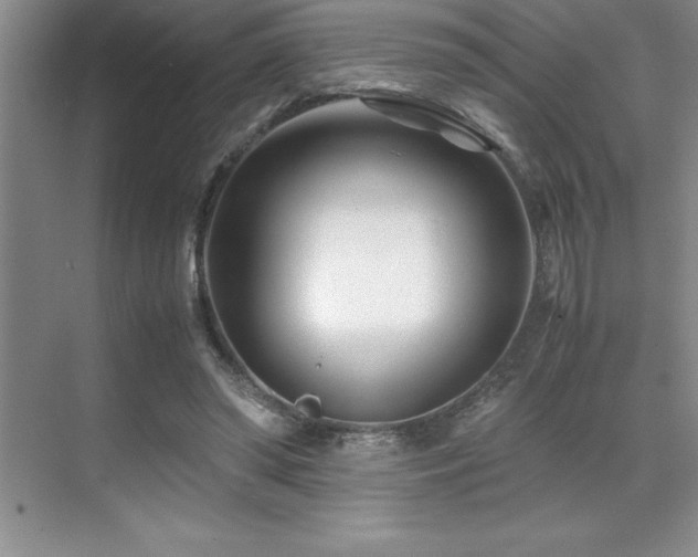 X0000071950398200607071215