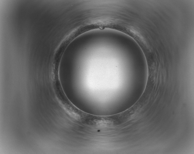 X0000071950400200607071215