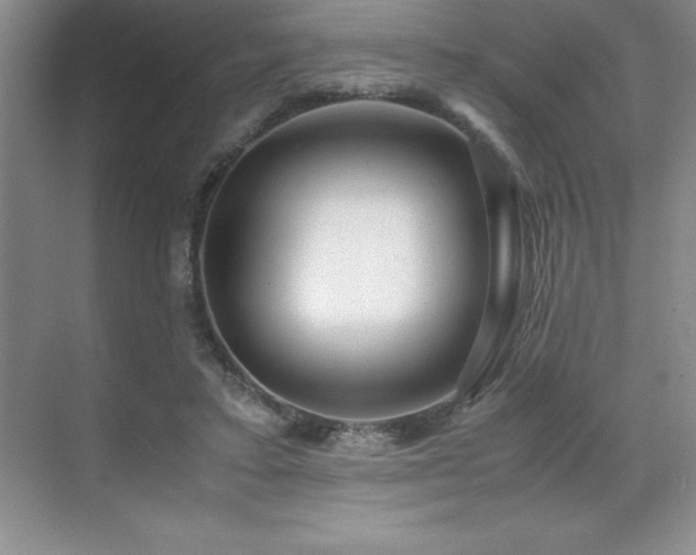 X0000071950403200607071215