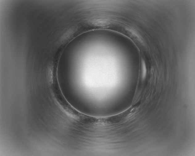 X0000071950404200607071215