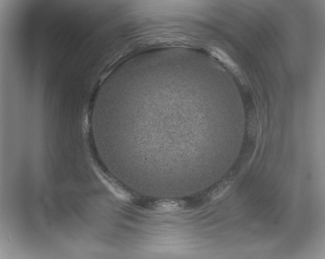 X0000071950405200607071215