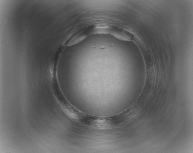 X0000071950406200607071215