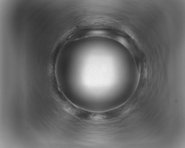 X0000071950407200607071215