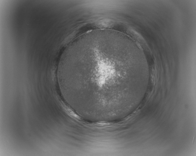 X0000071950409200607071215