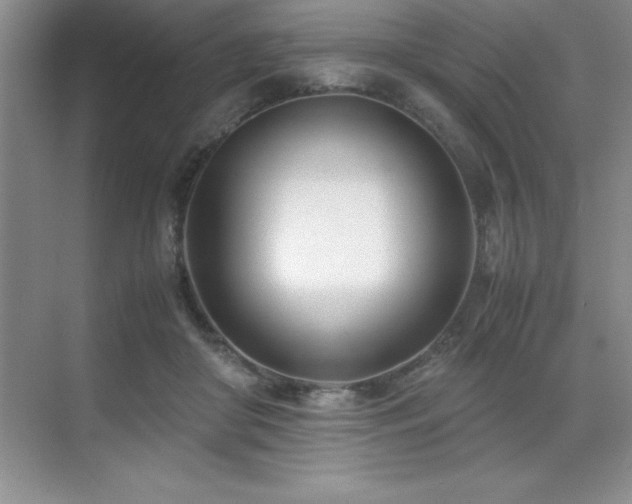 X0000071950410200607071215