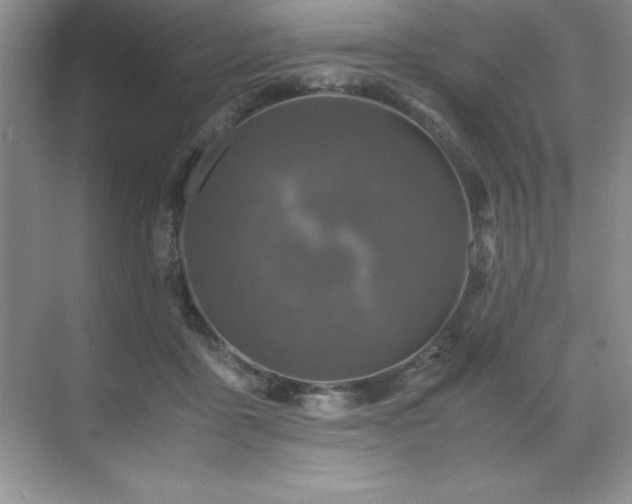 X0000071950411200607071215