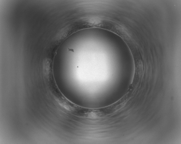 X0000071950412200607071215