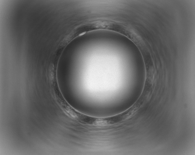 X0000071950413200607071215