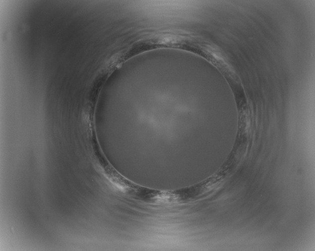 X0000071950415200607071215