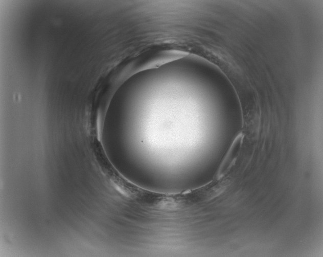 X0000071950416200607071215