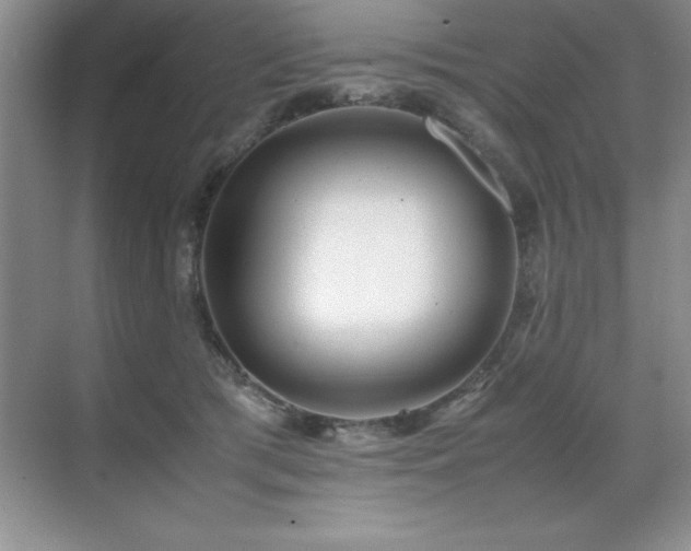 X0000071950417200607071215