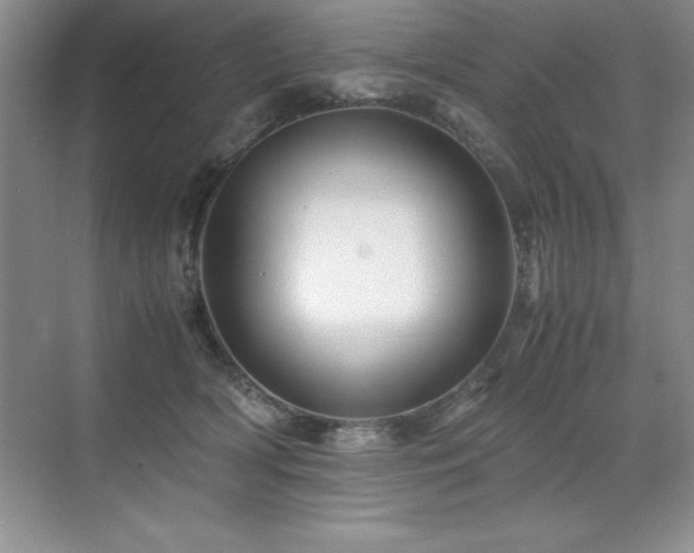 X0000071950418200607071215