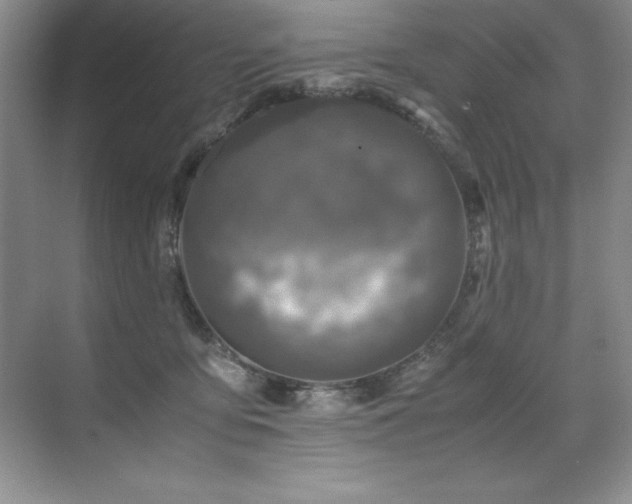 X0000071950419200607071215