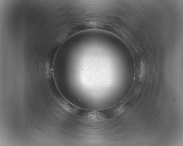 X0000071950420200607071215