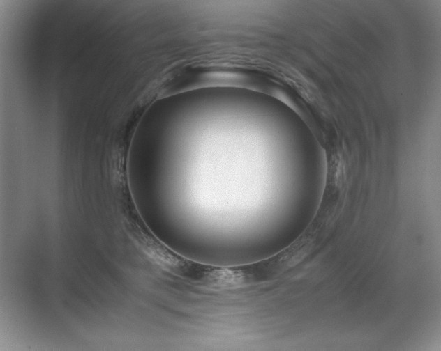 X0000071950421200607071215