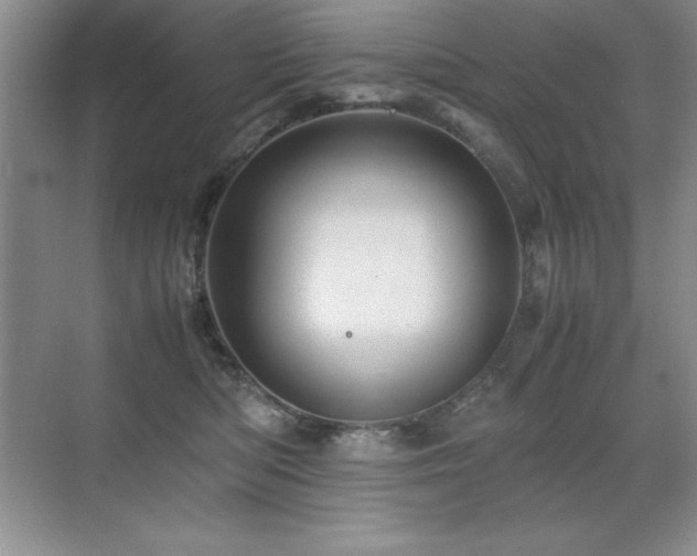 X0000071950422200607071215