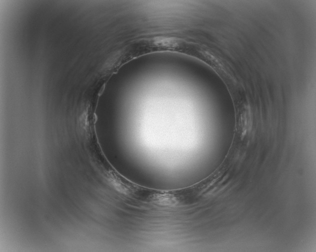 X0000071950424200607071215