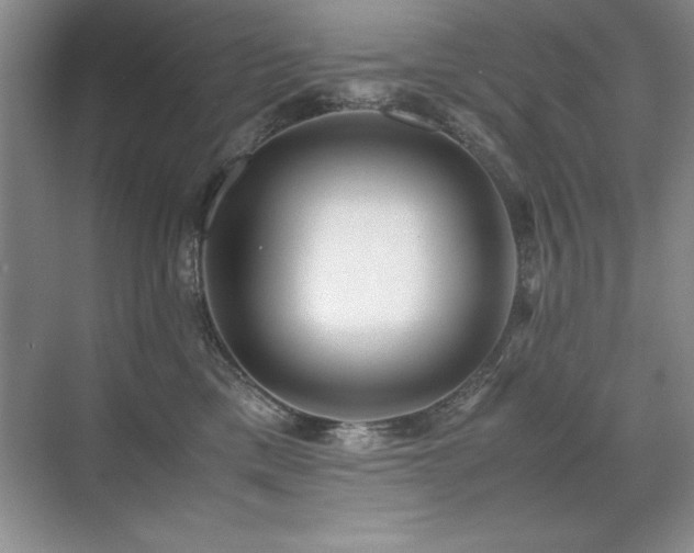 X0000071950425200607071215