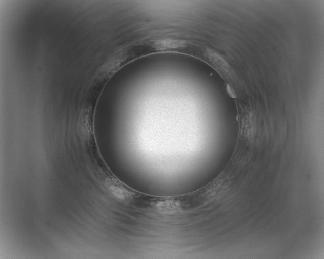 X0000071950426200607071215