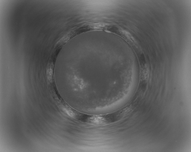 X0000071950427200607071215