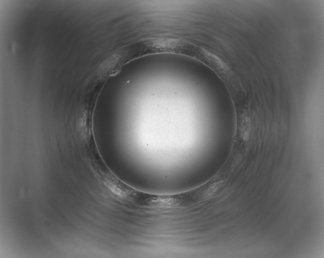 X0000071950428200607071215