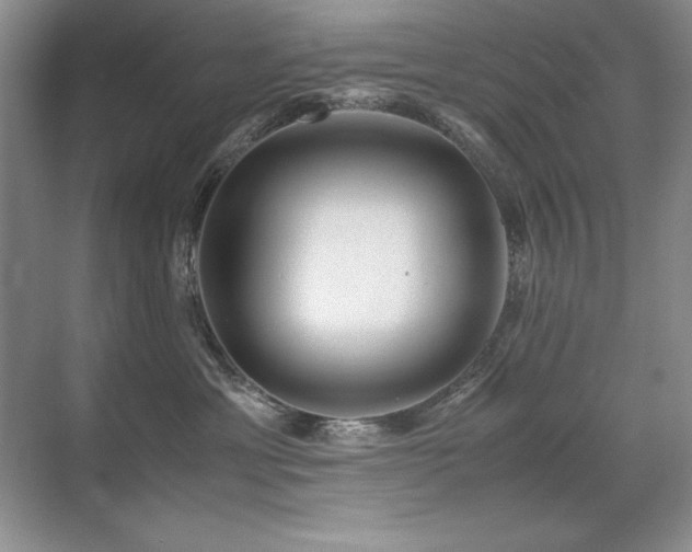 X0000071950429200607071215