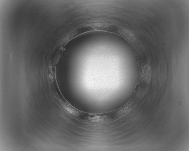 X0000071950430200607071215