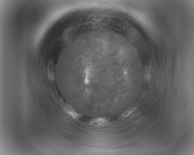 X0000071950431200607071215