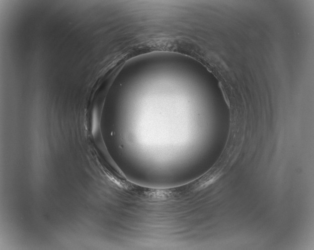 X0000071950432200607071215