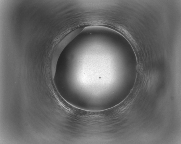 X0000071950433200607071214