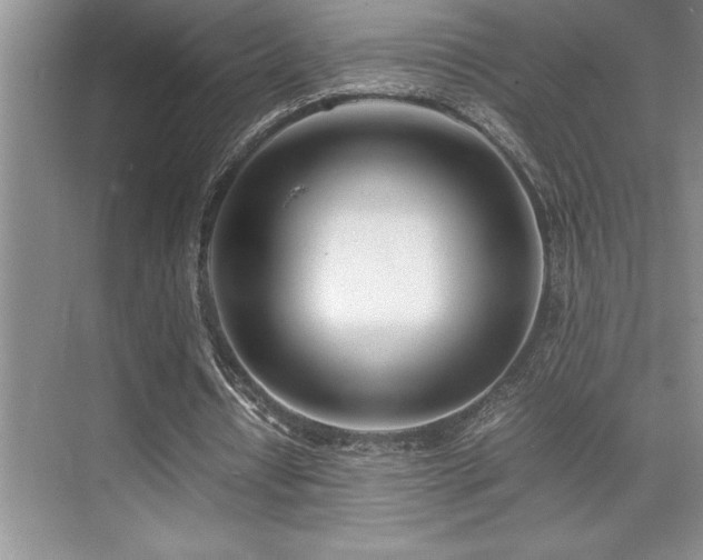 X0000071950434200607071214